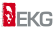 EKG-Laatzen